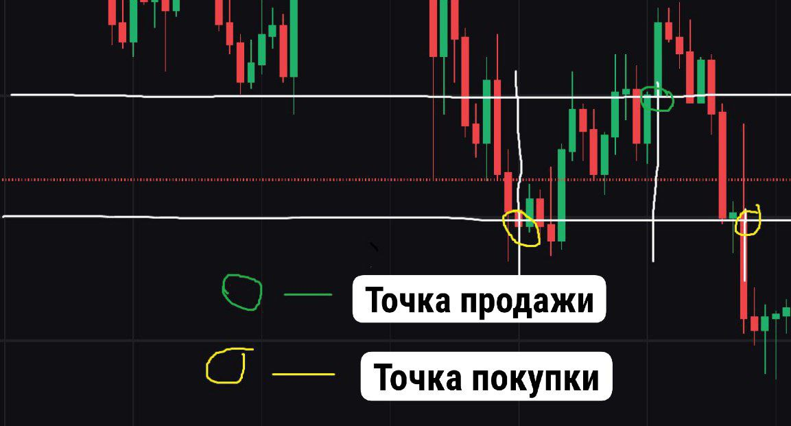 структура торговли