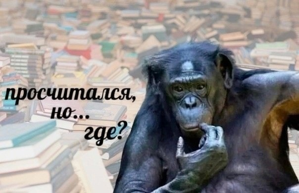 мем просчитался но где