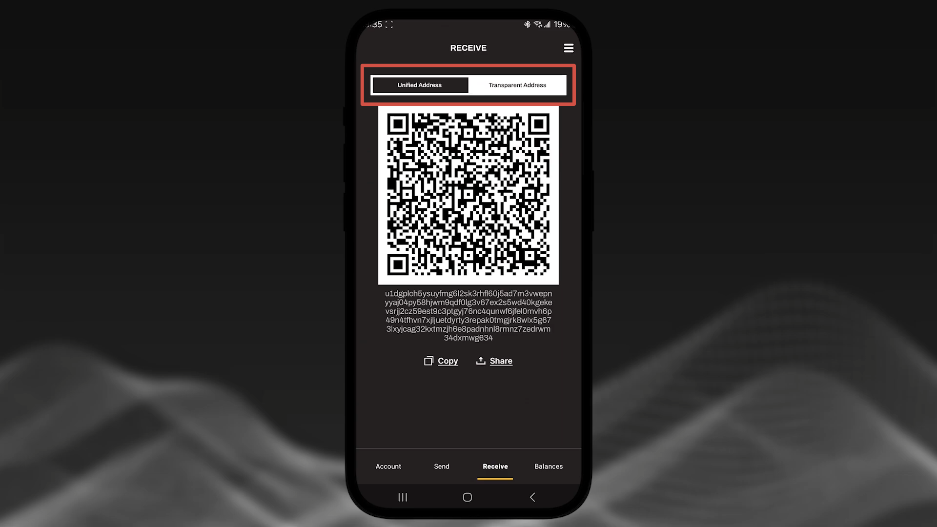 интерфейс кошелька с выбором типа адреса zec